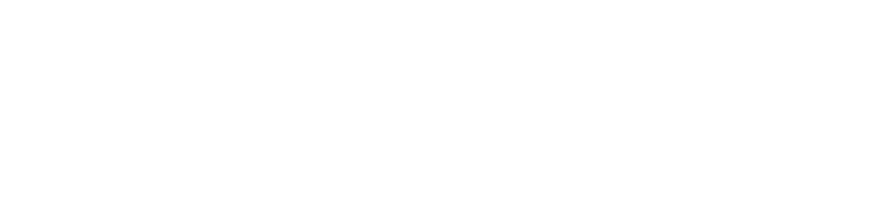 Zendure white Logo (400X100)