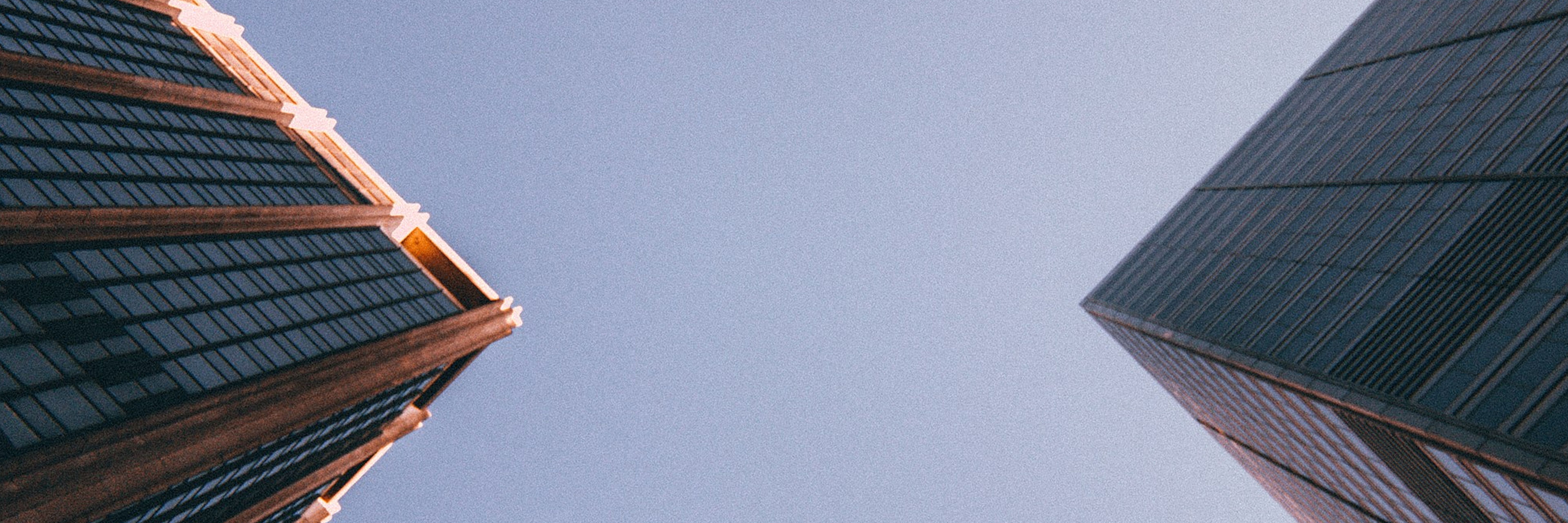 xcotton banner 1