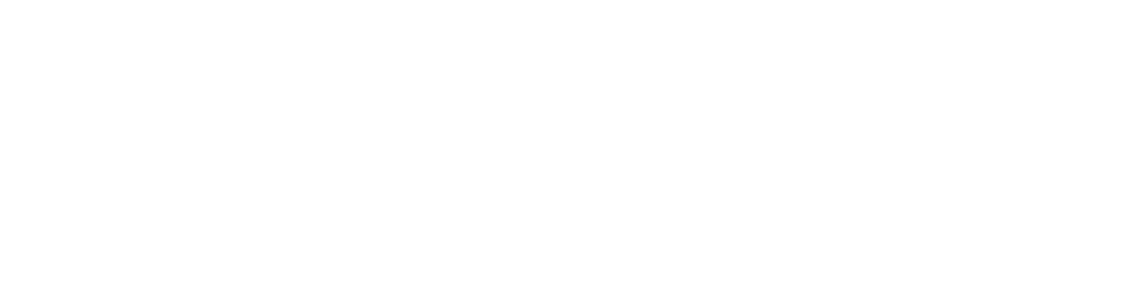 engwe white logo (400x100)